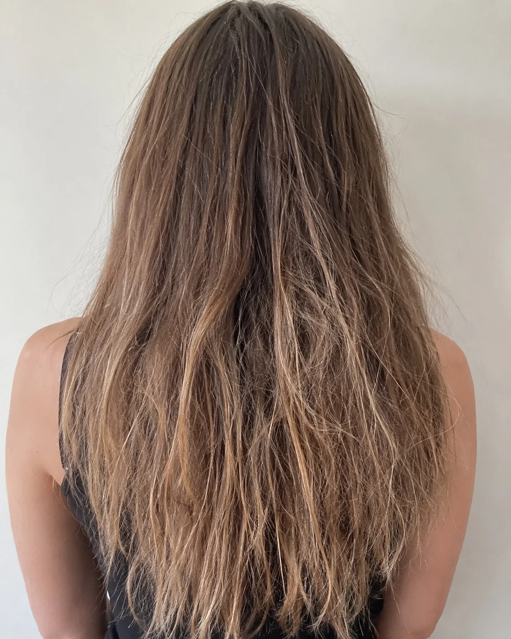 Back view of long hair extensions appearing dry, frizzy, rough, and matted after washing.